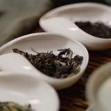 Chinese Green Tea - Biluochun hover