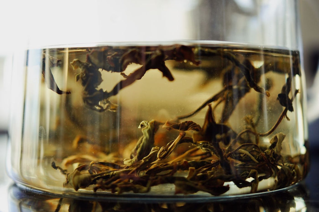 Biluochun: The Green Tea That Smells Like Fruit and Flowers