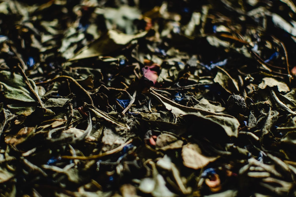 Silver Needle vs. Moonlight White: Two White Teas