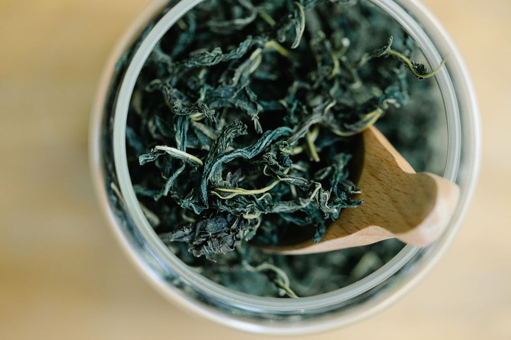 Matcha vs Green Tea: Same Plant, Different Drink